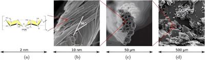 Multiscale micromechanics modeling of viscoelastic natural plant fibers